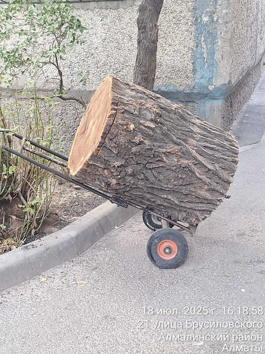 Столешницы из   карагача