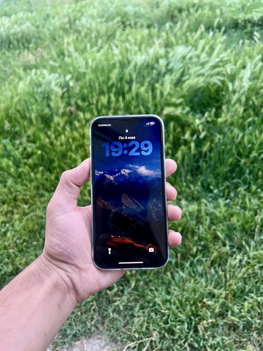 Iphone 13 pro ideal