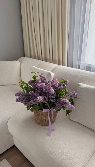 Сирень букеты свежие