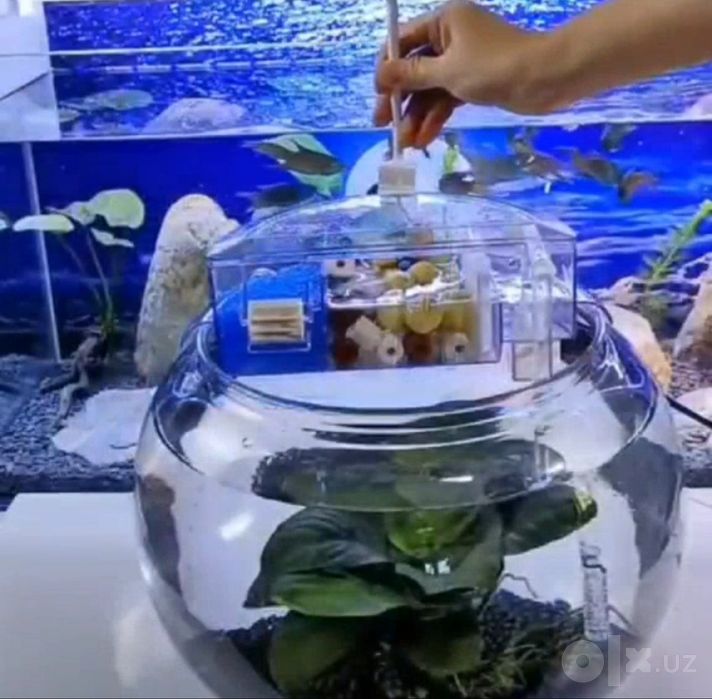Пластиковые аквариумы.