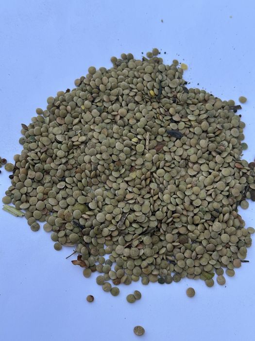 Чечевица зеленая, красная