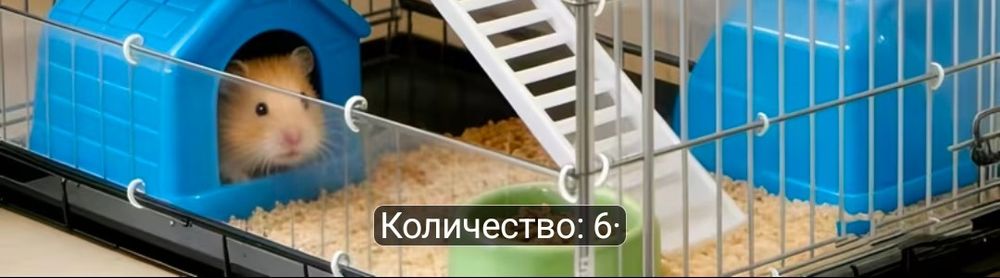 Лоток + манеж для кролика