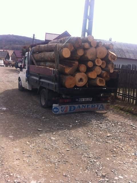 Lemne de foc fag, cârpen și brad