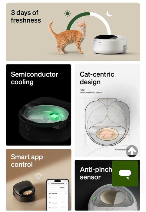 Recipient automat hranire pisici/caței. Temperatura controlata