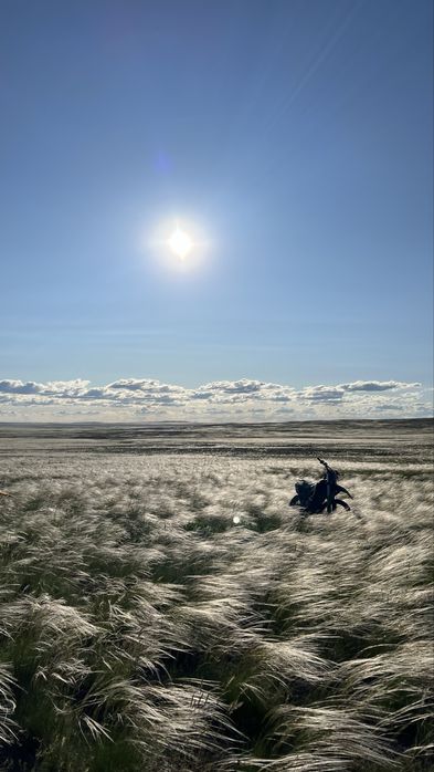 Продаю/обменяю к/х