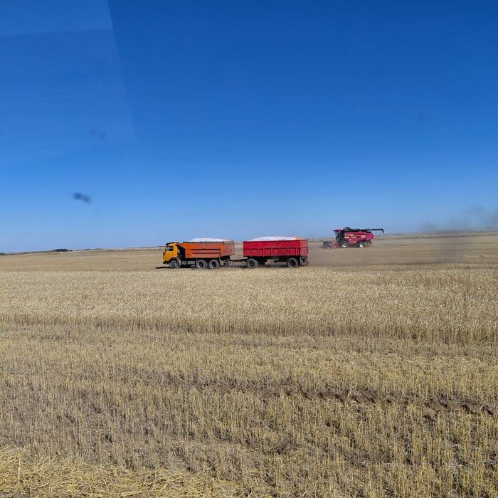 Продаю КамАЗ 5511 с прицепом