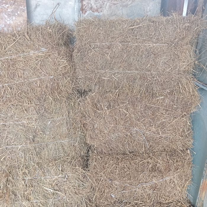 Продаю сено квадратный