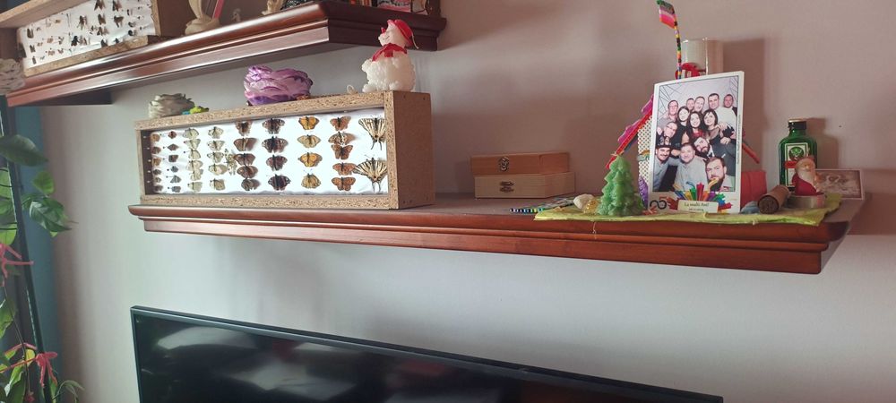 Louis Philippe Poliță