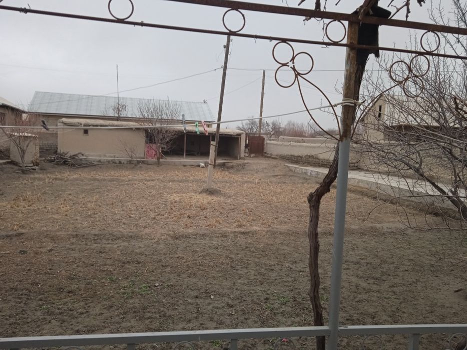 Hovli sotiladi 12 sotix