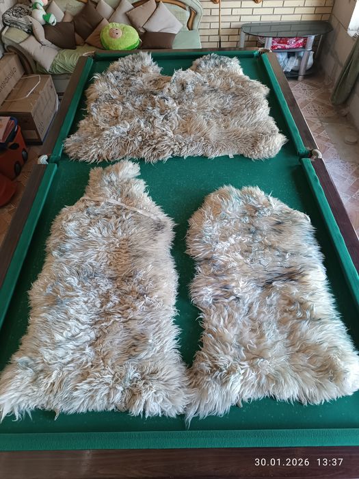 Продам комплект шкур из овчины на сиденья авто!
