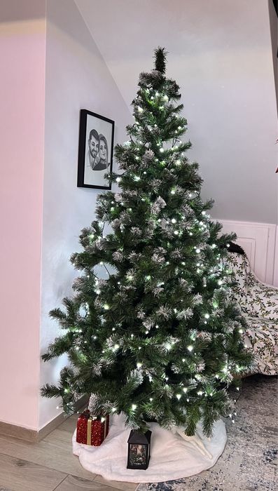 Vând brad de Craciun, înalt de 2 m.