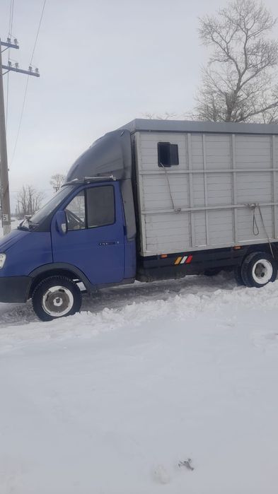 Грузопервозки КРС, МРС, Лошади, мебель