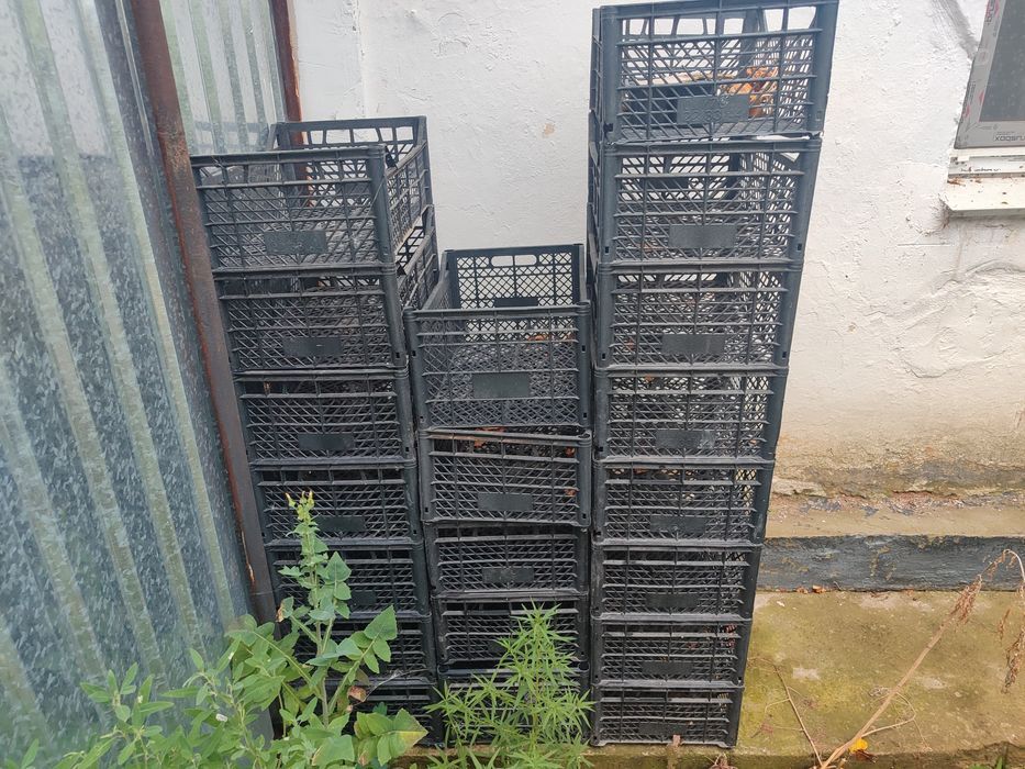 Ящик из под яблок