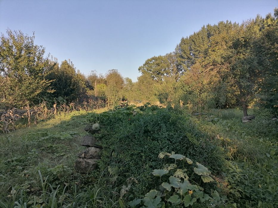 Продава се Къща в Берковица - 60 кв.м за 85 €/кв.м - Снимка #3