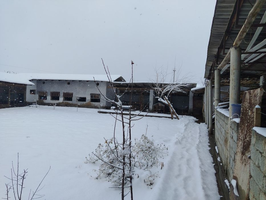 Срочно ферма участка сотилади