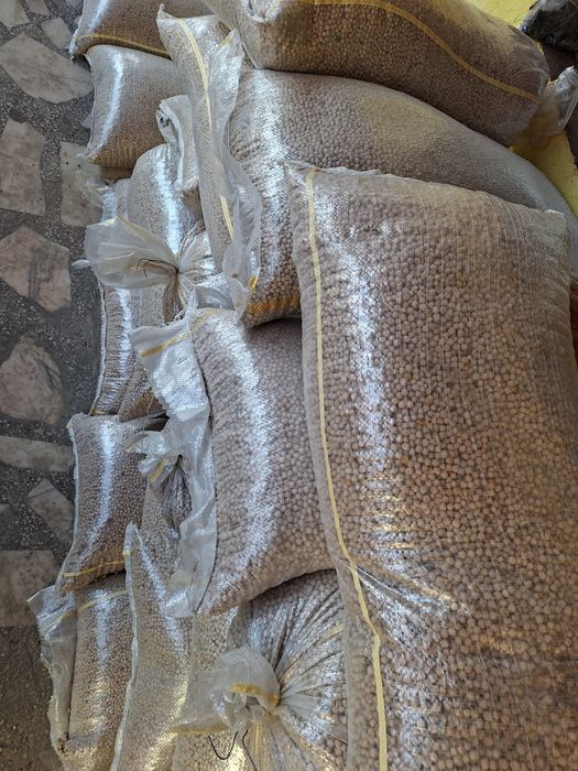 mazare furajera de sămânță