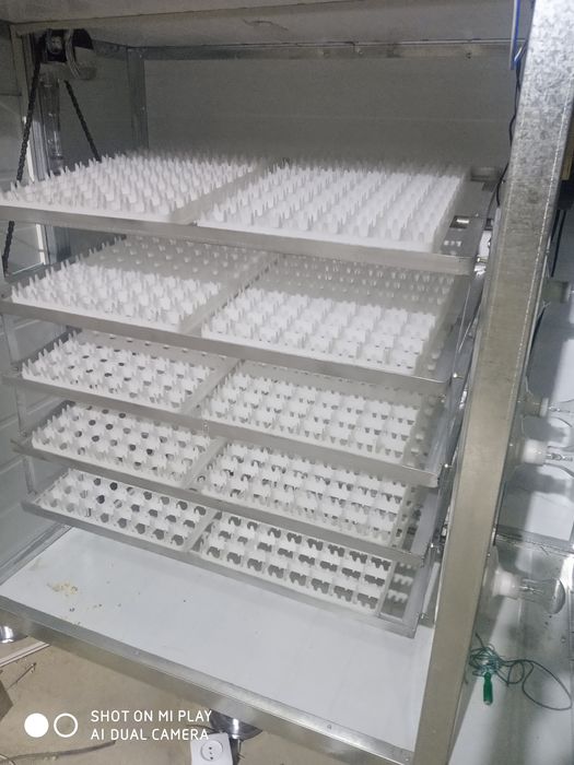 Инкубатор 100 % автомат