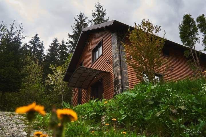 Cazare Cabana Vâsc Borșa Maramureș Ciubar
