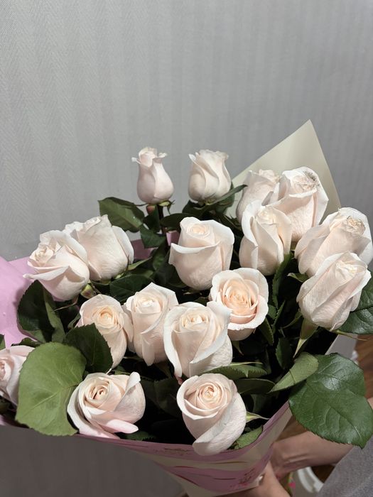 Метровые розы,17 штук