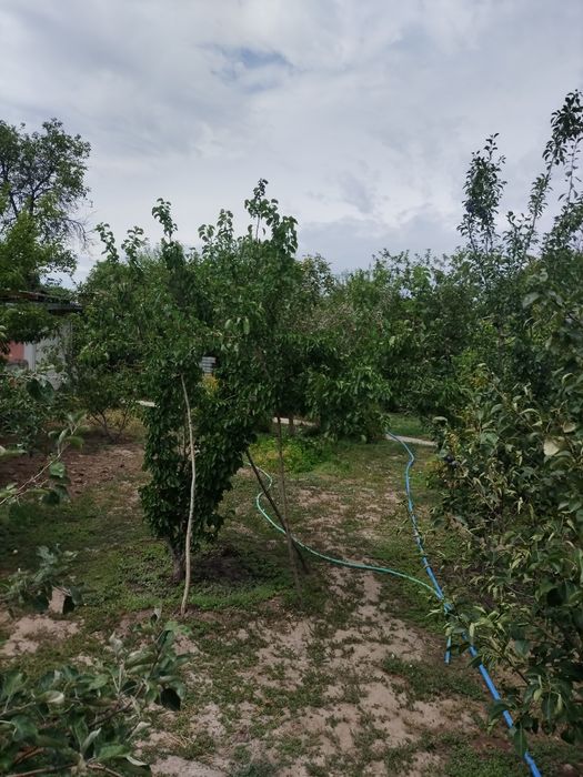 Продам дом-дачу, срочно
