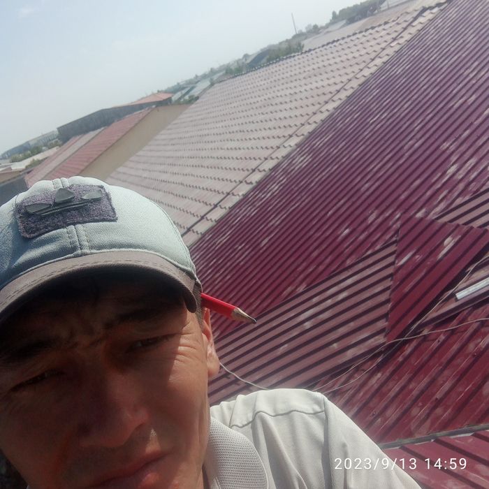 Том е"памиз хар хил куринишда