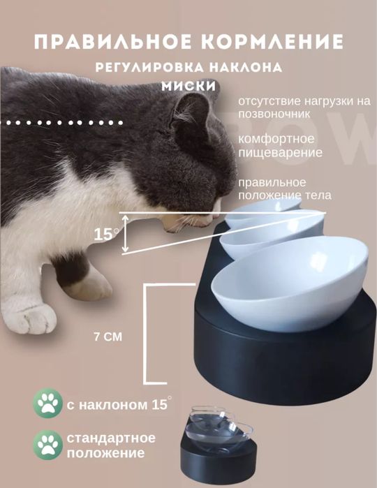 Корм для котов и миски