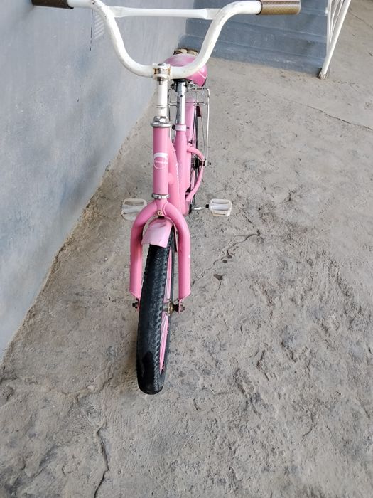 Velik holati yaxshi