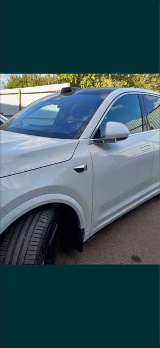 Костоправ маляр