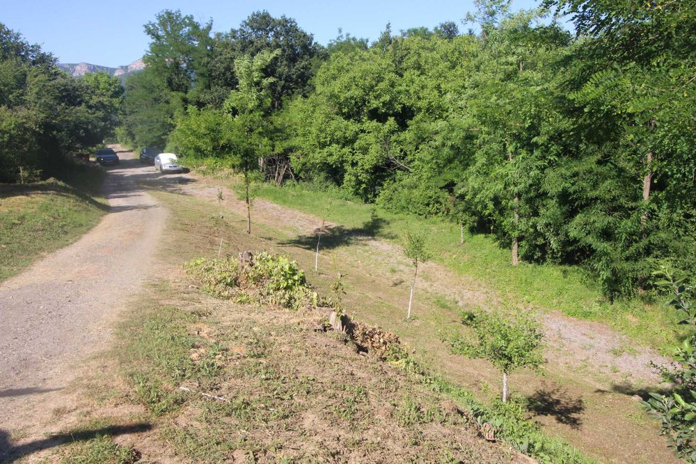 Продава земеделска земя в с. Драгановци, обл. Габрово