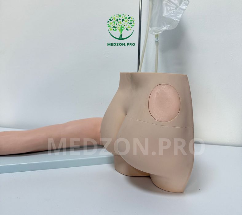 Анатомические Муляжи для инъекци