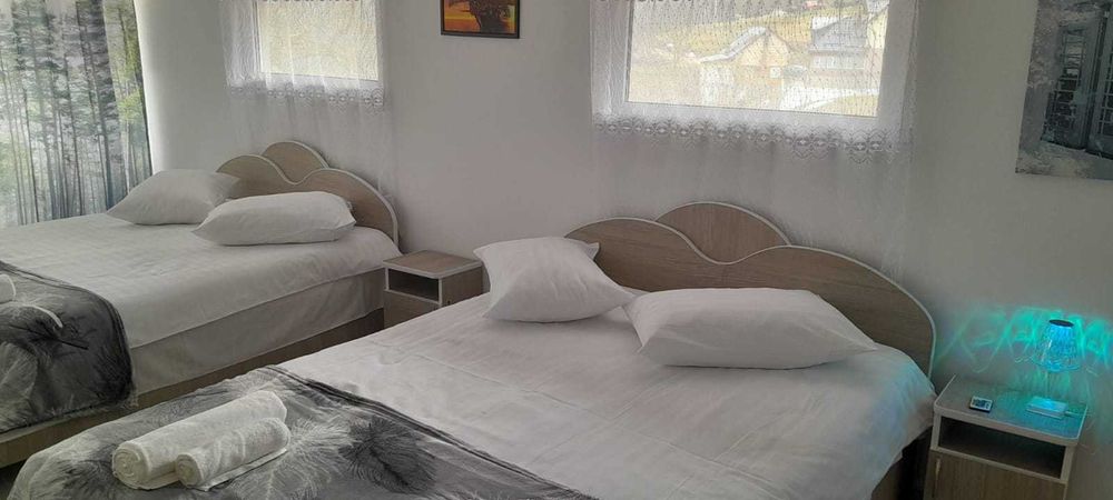 Casa la munte aproape de Paltinul