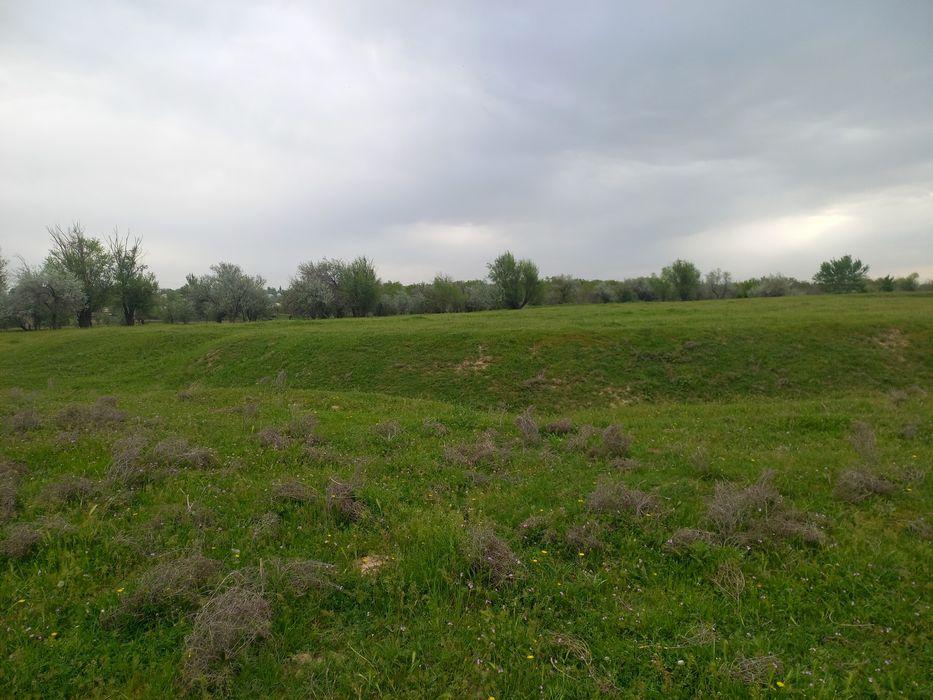 Земельный участок