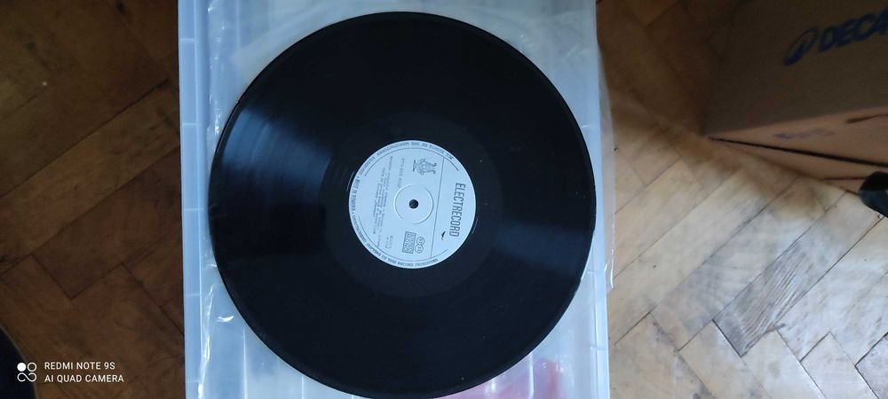 Discuri vinil Phoenix