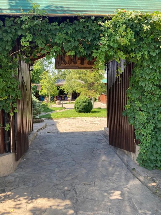 Сдаётся кафе летник в аренду