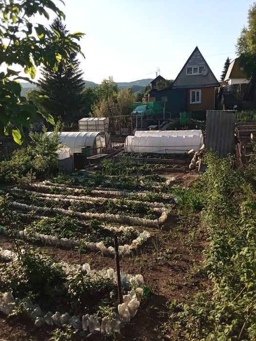 Продам дачу на Казахстане!!!