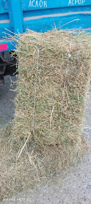 Беда прес сотилади оптом