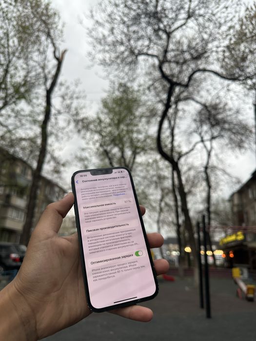 На продаже айфон 13  87%