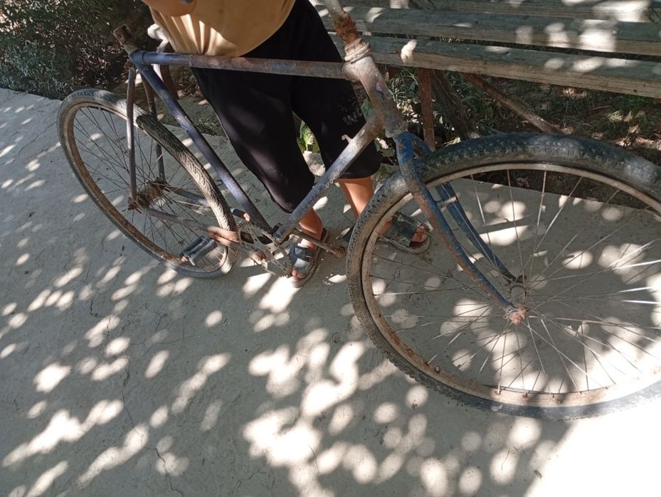 velosifed tortishi yaxshi