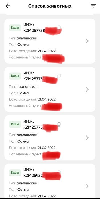 Сүтті ешкі, козы породистые молочные