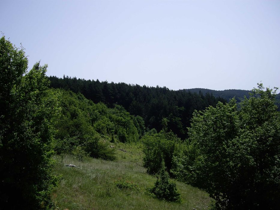 Продава се Къща в с. Живко, Област Габрово - 204 кв.м за 113 €/кв.м - Снимка #20