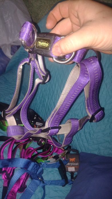 Нагръдник за кучета