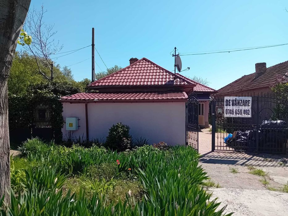VAND CASA, Murfatlar