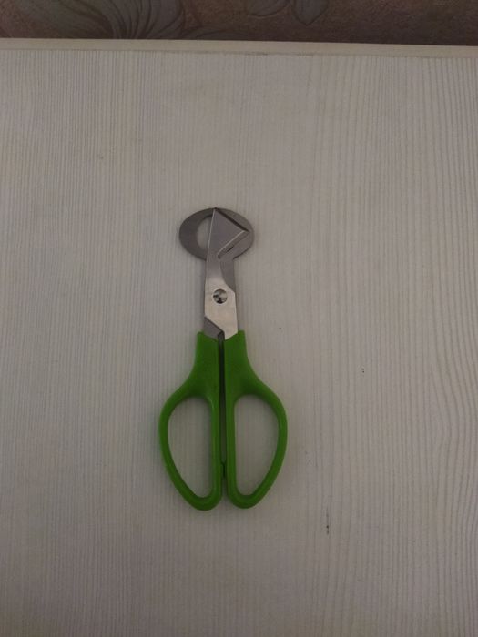 Продам яйцо перепелиное