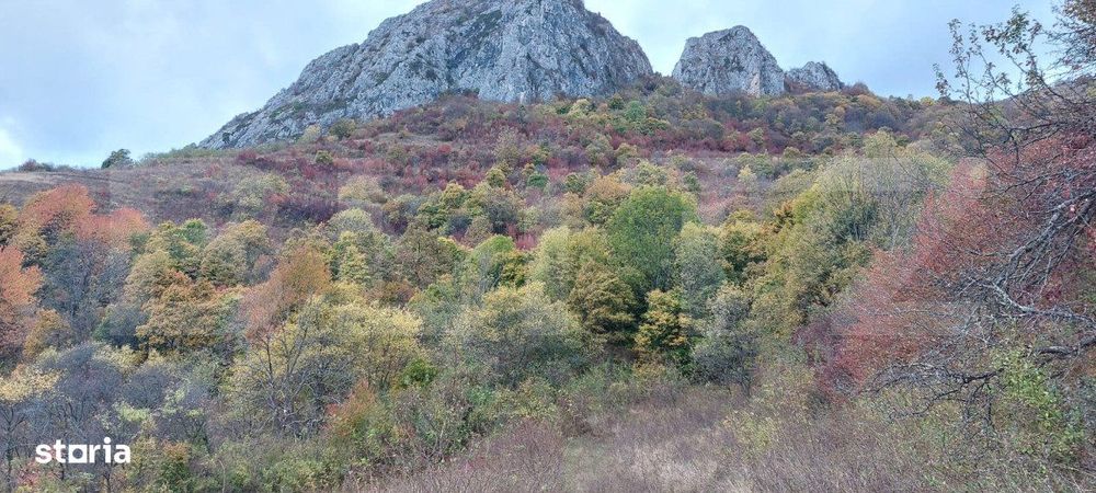 Teren extravilan 16121 mp apa si curent, ideal pentru cabane Zona Rame
