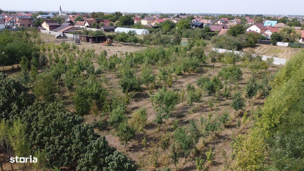 1786mp – teren Vatra satului Mosnita Veche - 125.000E