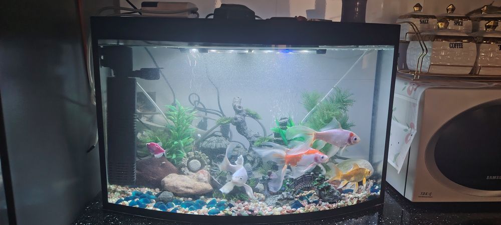 Akvariumni 100 ltrli