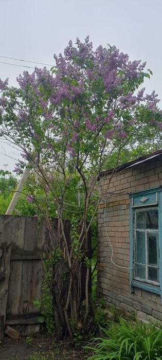 Двухкомнатный Дом в Боровском