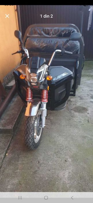 Ticicul kuba / de vanzare