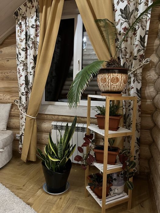 Коттедж в посуточную аренду