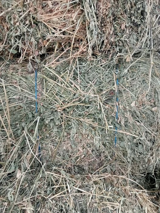 Vând Baloți lucernă coasa 3 -4